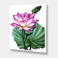 thumbnail image 3 of Designart ' Ancient Pink Lotuses In The Pond VI ' Traditional Canvas Wall Art Print, 3 of 4