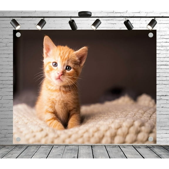 7x5ft Patterned Backdrop Cute Kitten Photo Backdrop Decoration Banner for Theme Party Wedding Birthday Baby Shower Photo Booth Studio Props