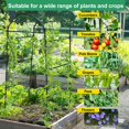 thumbnail image 3 of Enrejado Garden Arch Yotoworth, 210 cm de alto, acero negro, 3 of 7