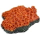 thumbnail image 5 of Adornos de acuario, suministros de resina para arrecife de Coral, decoraciones temáticas, accesorios para plantas acuáticas, peceras, 5 of 6