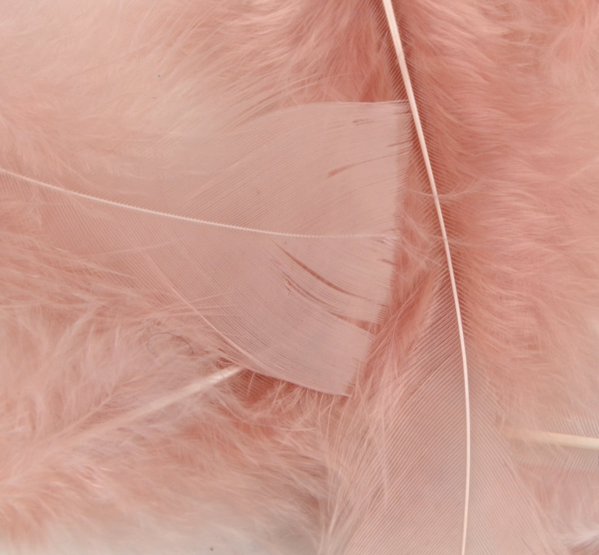 Touch of Nature Basic Craft Feathers Turkey Flat Feathers Turkey