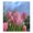 The Sky Garden's Scenery, variant on IAUYY Magnetic decorative sticker - 23x26 Inch PVC Refrigerator Decorative Cover, Removable DIY Art for Kitchen Appliances Tulips in The Sky
