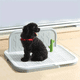 thumbnail image 4 of Tapete Entrenador para Perro Lavable con Pared 63x49x24 Ajolopet, 4 of 11