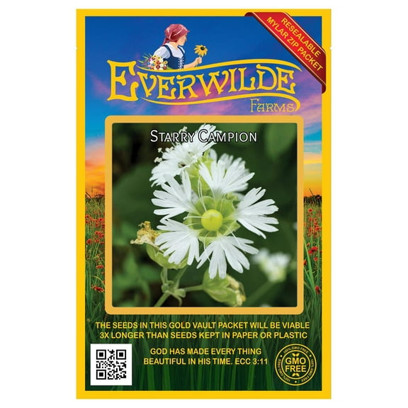 Everwilde Farms - 100 Starry Campion Native Wildflower Seeds - Gold Vault Seed Packet
