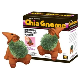 Bob Ross Chia Pet  13 Adult Craft Kits and Games From Urban