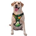 thumbnail image 1 of Fotbe St Patrick's Day10 Arnés para Perro con Estampado –Chaleco Ajustable Acolchado con Asa de Control para Perros Grandes-X-Large, 1 of 6