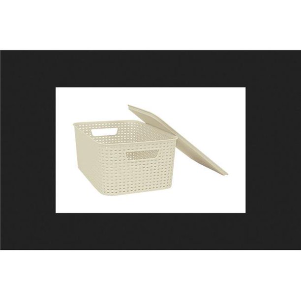 2211003 5.1 X 10.8 X 7.2 in. Plastic Wicker Storage Boxes with Lid