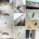 thumbnail image 1 of 5 uds Invisible Sticky Rat Board 1,2 m hogar rata Control manta fuerte rata pegatina ZefeiWu 9024735243038, 1 of 1
