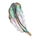 thumbnail image 1 of 1 Uds. Broche de concha de abulón Natural temperamento europeo y americano cien plumas ramillete de mujer Sailing Electrónica, 1 of 5