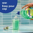 thumbnail image 3 of Softsoap Antibacterial Liquid Hand Soap,  Fresh Citrus Scent, 50 fl oz Refill, 3 of 14