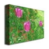 Trademark Art "Tulips" Canvas Art by Kathie McCurdy