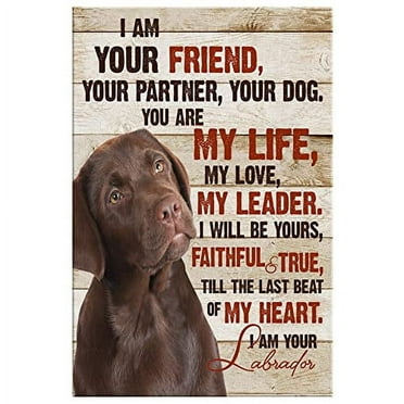 Fun Jigsaw Puzzle for Adults 500 Pieces Chocolate Labrador I Am Your Friends Wooden Puzzles Best Brain Exercises Educational Gift Home, 20.5 x 15 Inch