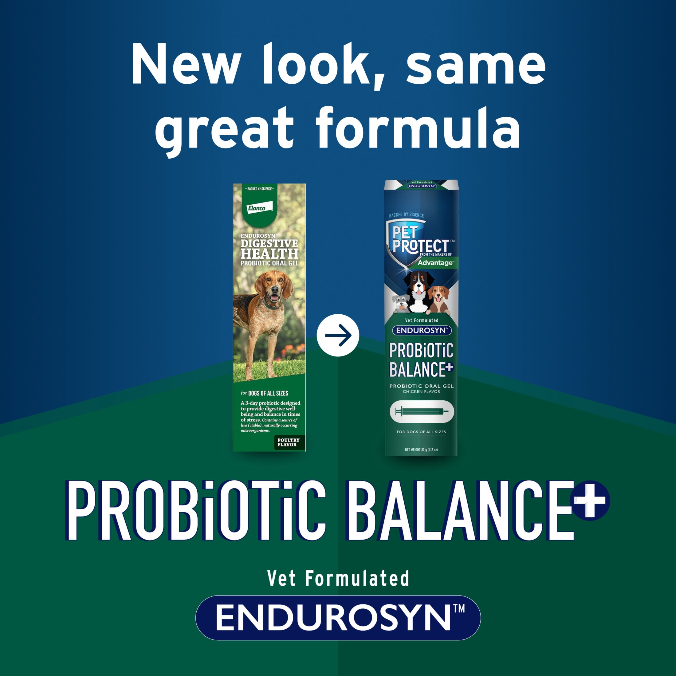 Pet Protect Dog Probiotic Balance+ Oral Gel, Vet-Formulated Endurosyn, Chicken Flavor, 32g