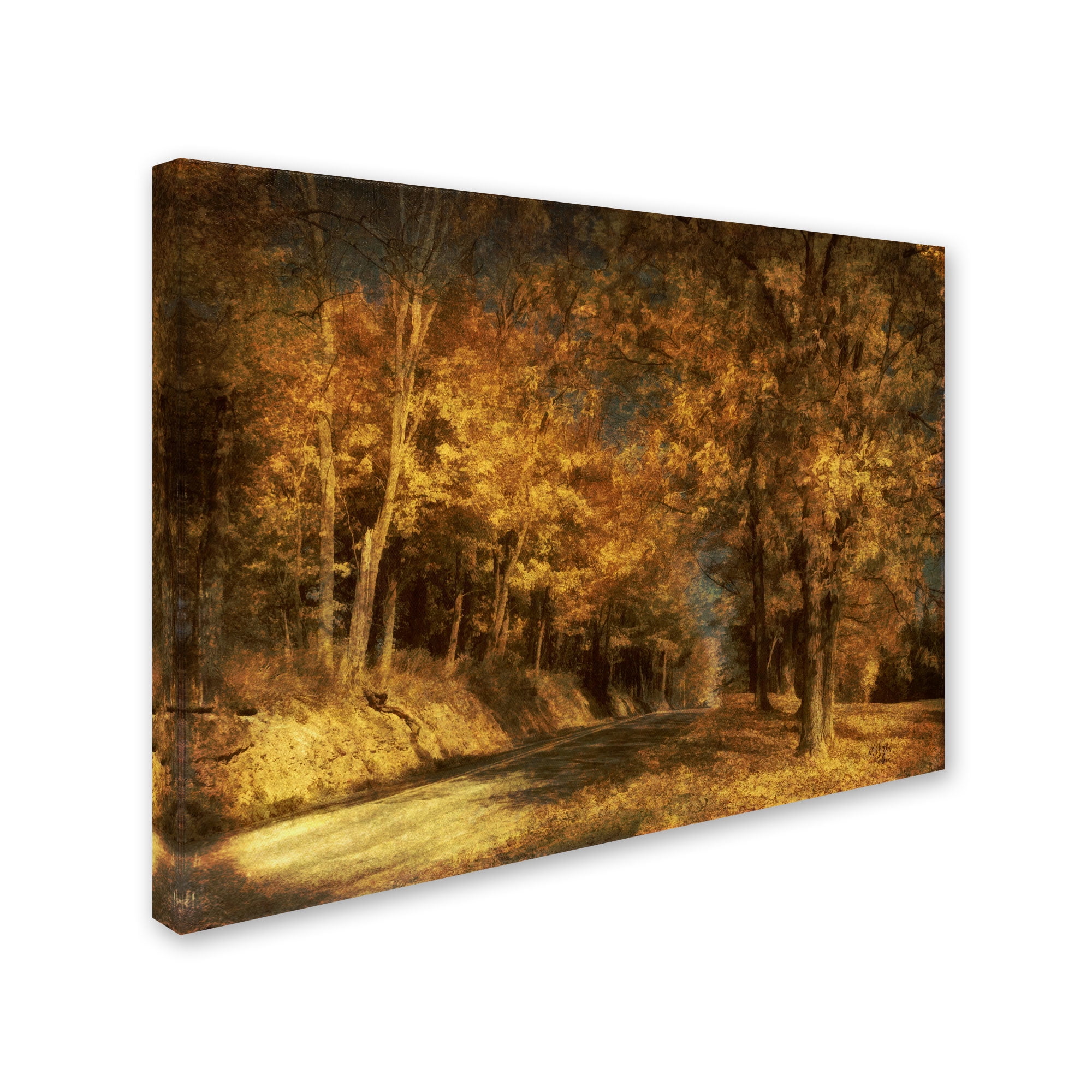 Trademark Fine Art "Back Roads" Canvas Art by Lois Bryan