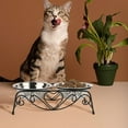 thumbnail image 4 of Pet Supplies Stainless Steel Double Feeding Bowl with Elevated Stand for Cats and Small Dogs Feeding Station, 4 of 8