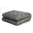 thumbnail image 1 of Toytexx 15 lbs Weighted Blanket with Removable Duvet Cover, Twin Size 60"x80", Grey, for Adults, 1 of 7