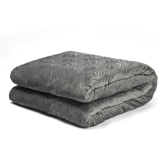 Toytexx Couverture Pondérée de 30 Lb avec Housse de Couette Amovible, Format Jumeau 94"x96 Pouces, Gris, pour Adultes