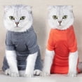 thumbnail image 1 of Pet Recovery Suit Four Legs Abdominal Wound Jacket for Cats, 1 of 5