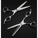 thumbnail image 1 of Tijeras de cortar el cabello de acero inoxidable de 6 pulgadas con cuchillas ultra afiladas, mango ergonómico y tensión ajustable., 1 of 5