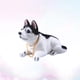 thumbnail image 4 of Adorable adorno de perro con cabeza movible para coche, escritorio, hogar, tienda (Husky), 4 of 6