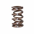 thumbnail image 3 of Skunk2 Pro Series Honda/Acura K-Series i-VTEC XP Valve Spring Set (Dual Springs) Fits select: 2002-2009 HONDA CR-V, 2003-2004 HONDA ACCORD, 3 of 3
