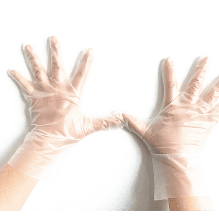 

Clear Vinyl Disposable Gloves M Latex Free Powder Free Exam/Medical Gloves For Food Prep Cooking Cleaning Box Of 100