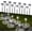 Cool White, variant on Solar Landscape Lights IP65 Waterproof LED Solar 12 Pack,Color