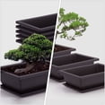thumbnail image 3 of HOOWIFFY 5Pcs Rectangular Flower Planting Holder for Household and Office Use 16.5x12x6in, 3 of 8