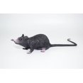thumbnail image 4 of Juguete de broma, 22 cm, ratón de PVC, juguete mágico, modelo de simulación de utilería de broma, 4 of 5