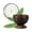Brown/Cinnamon/1 Count, variant on Coco Casa Handmade Coconut Candle Bowl - Pineapple Papaya - 4" x 4" x 2 3/4" - 10 count box