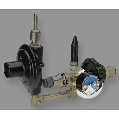 

1 1/2 in Regulator Gauge G-18-4000W 4 000 PSIA