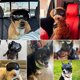 thumbnail image 2 of Gafas para Perro PETLESO para Razas Grandes con Lentes Negras, 2 of 7