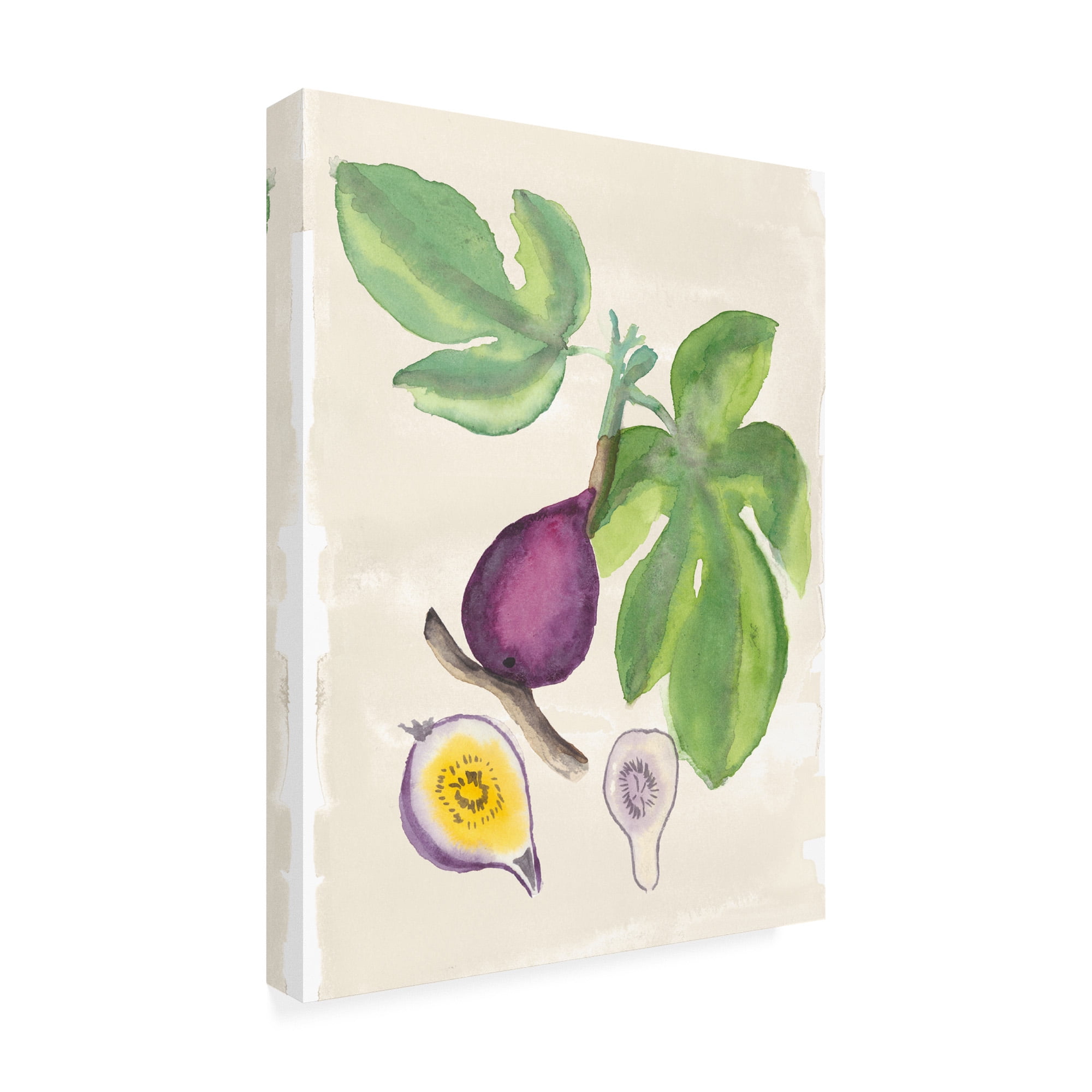 Trademark Fine Art 'Watercolor Fruit I' Canvas Art by Naomi Mccavitt