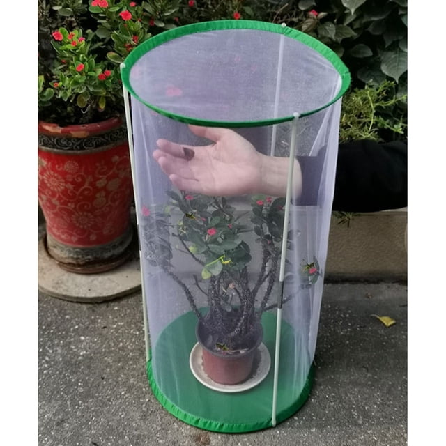 Reduced,BILIKEYU Transparent Mesh Butterfly Habitat Cage,Cylindrical Observation Enclosure for Insects & Ornamental Plants