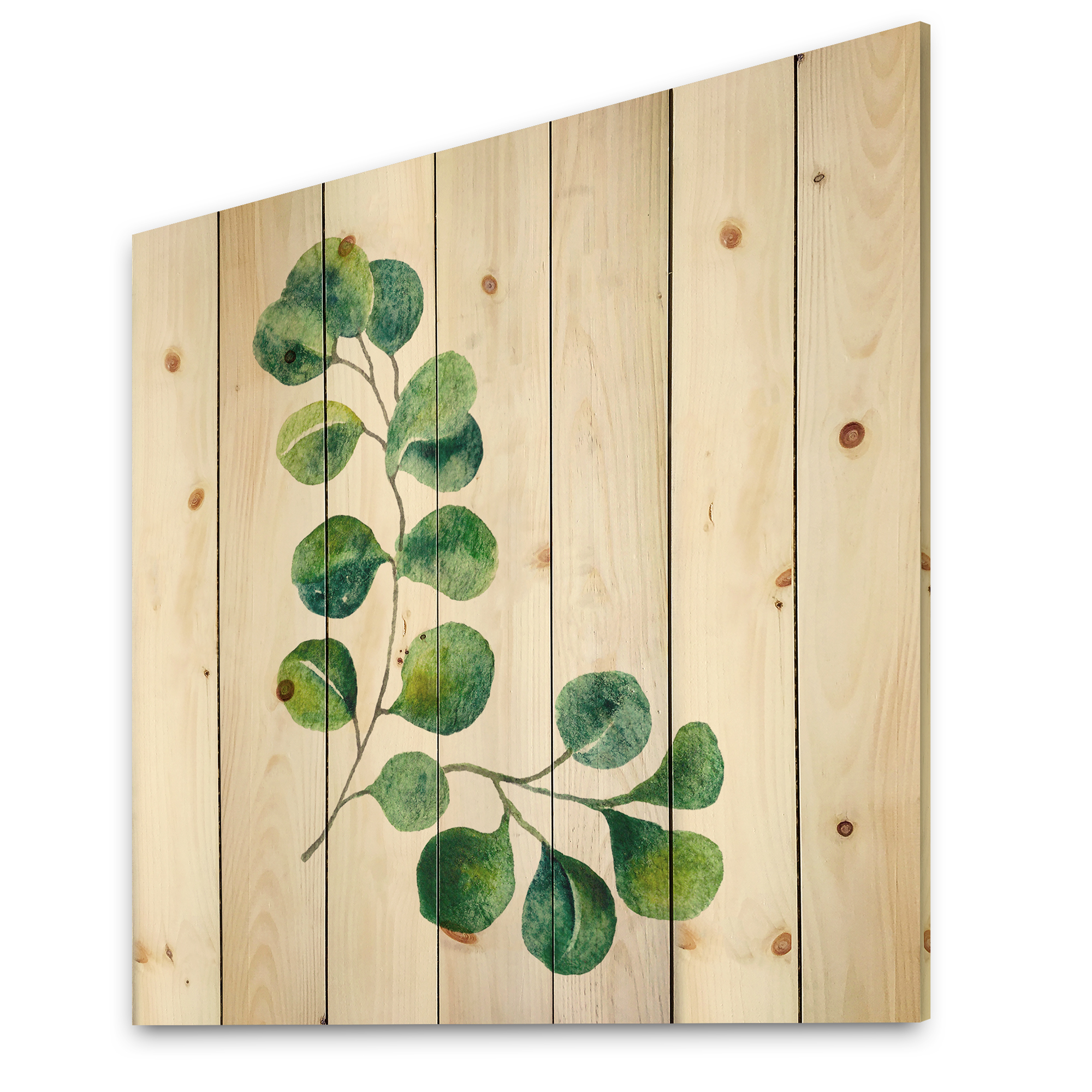 Designart 'Green Eucalyptus Plant Branches II' Traditional Print on Natural Pine Wood