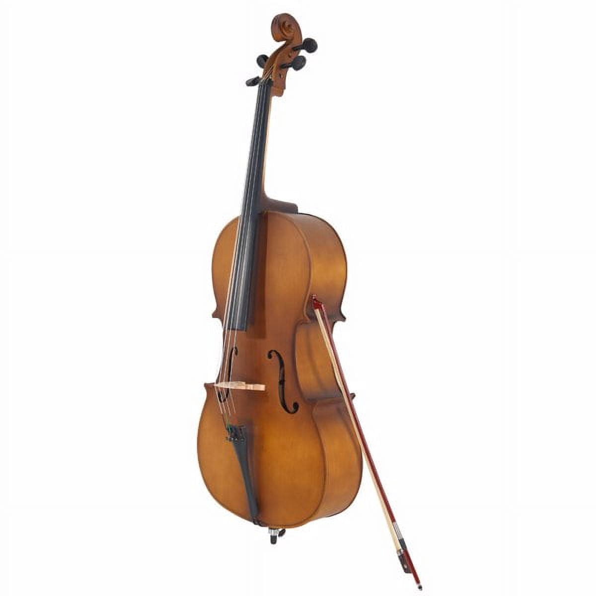 4/4 Acoustic Cello Case Bow Rosin Wood Color
