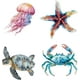 thumbnail image 1 of Pegatinas para ventana de 6.3" con diseño de océano, tortugas marinas, cangrejos, medusas, estrellas de mar, animales marinos, criaturas marinas, etc., 1 of 9