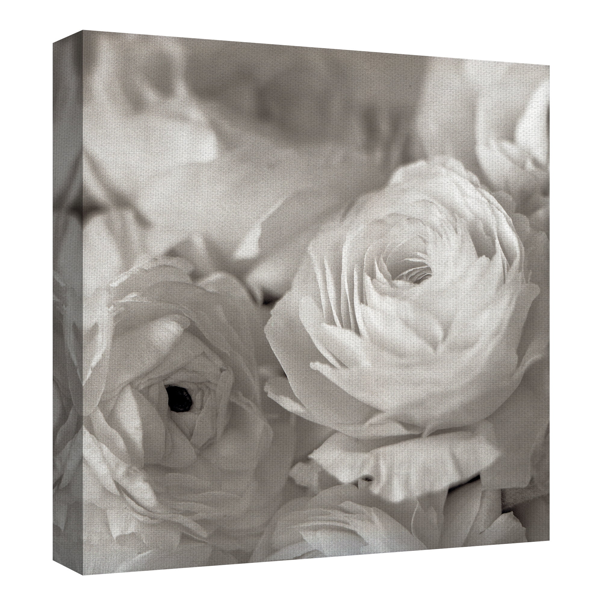 Masterpiece Art Gallery Florison #47 White Roses By Alan Blaustein Canvas Art Print 30" x 30"