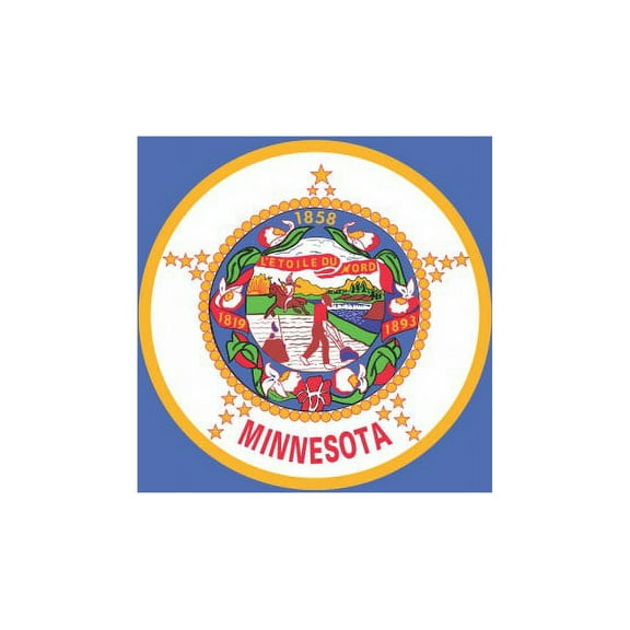 5in x 3in Minnesota State Flag Magnet