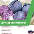 thumbnail image 2 of Harris Seeds Ruby Ball Improved Cabbage, Early Red Head Variety for Garden, Treated, 50 Count, 2 of 7