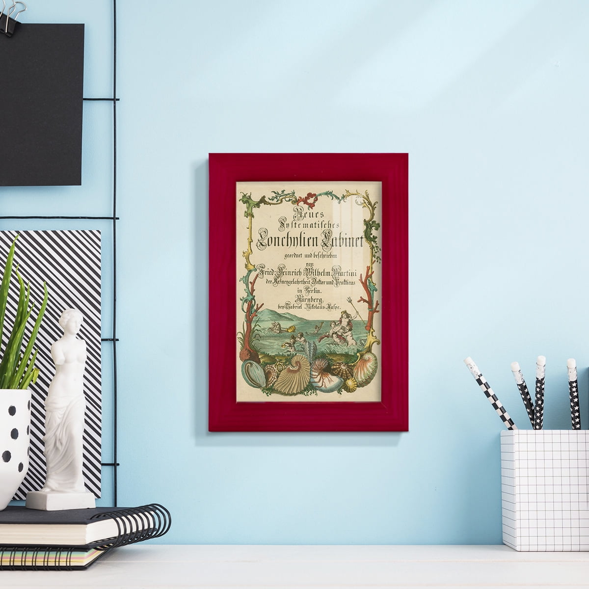 Cabinet of Conchology -Framed Print w/glass-Cherry Red