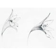 thumbnail image 2 of Tillmon, Avery 32x24 White Modern Wood Framed Museum Art Print Titled - Graphite Floral VI, 2 of 4