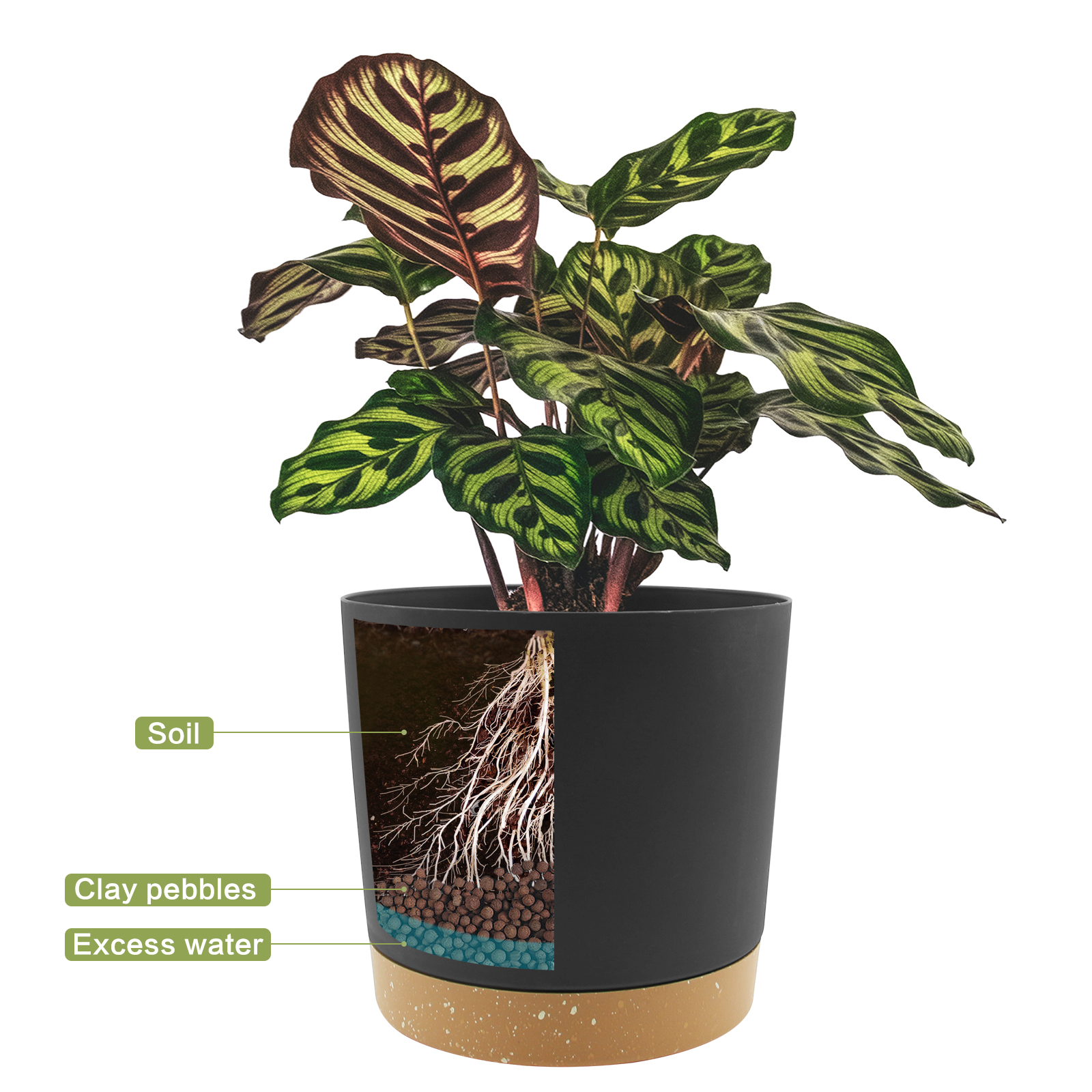 QCQHDU 6.5 Inch Black Plastic Plant Pots, 2 Pack photo 4