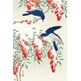 thumbnail image 2 of Koson, Ohara 17x24 White Modern Wood Framed Museum Art Print Titled - Flycatchers on a nandina bush, 2 of 4