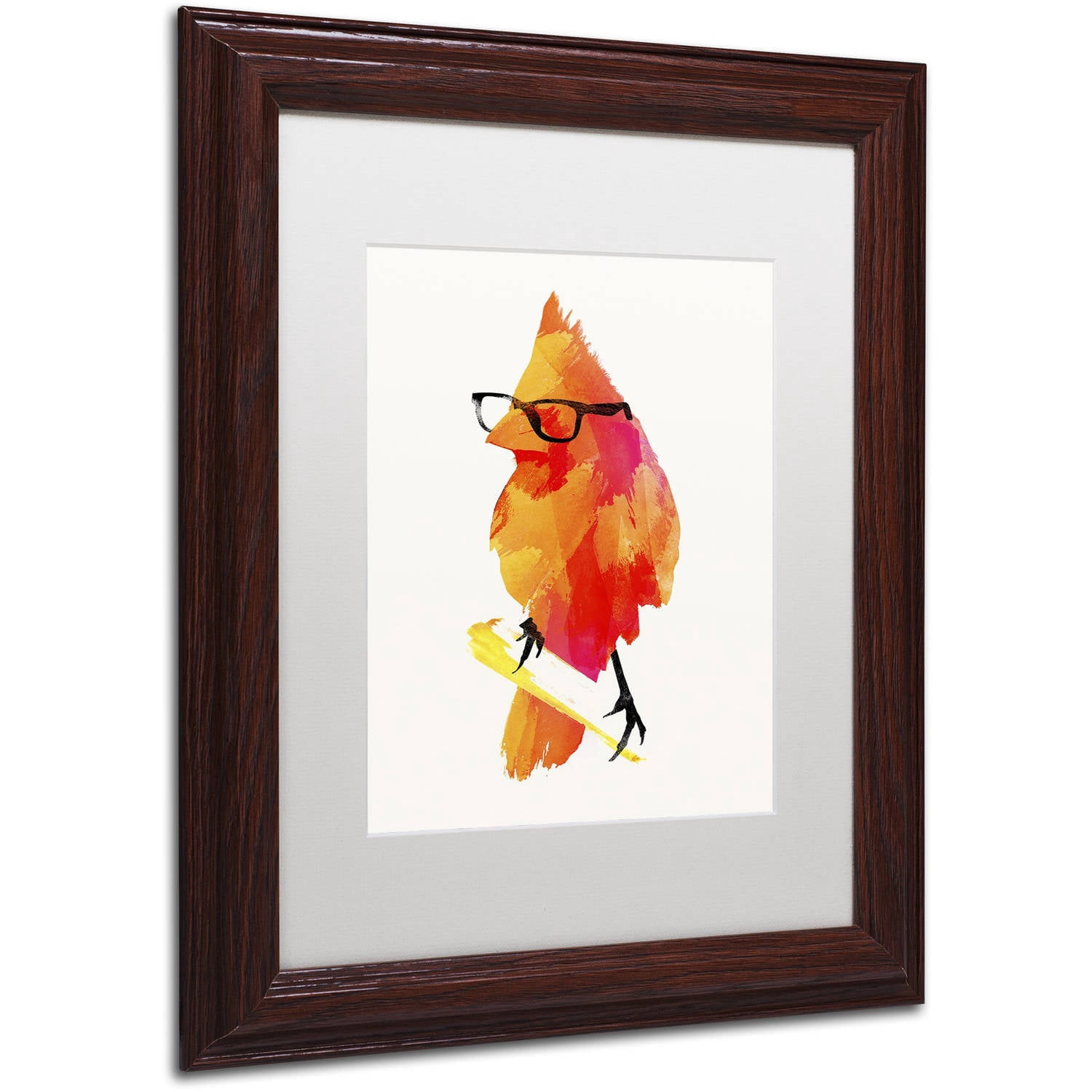 Trademark Fine Art 'Punk Birdy' Canvas Art by Robert Farkas, White Matte, Wood Frame