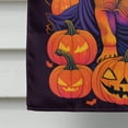 thumbnail image 7 of Shar Pei Witchy Halloween House Flag, 7 of 7