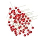 thumbnail image 1 of 100 Uds. de Bayas Artificiales, , Estambres de , Accesorios para El Cabello DIY, Decoración , Accesorios para Fot rojo, 1 of 9