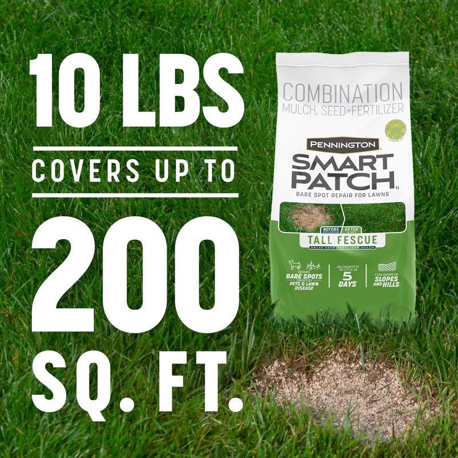 Pennington Smart Patch Tall Fescue Mix Grass Seed, 10lb, 1 Bag