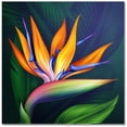 thumbnail image 2 of Epic Graffiti  Flower of Paradise Acrylic Wall Art, 24" x 24", 2 of 4