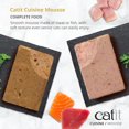 thumbnail image 2 of Catit Cuisine Ocean Fish Mousse with Tuna & Salmon Wet Cat Food, 90g, 2 of 9